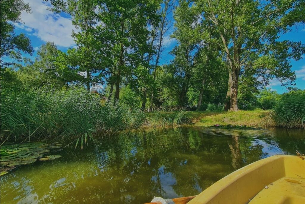 Privát tó a La-la Land birtokán Kemenesmagasin